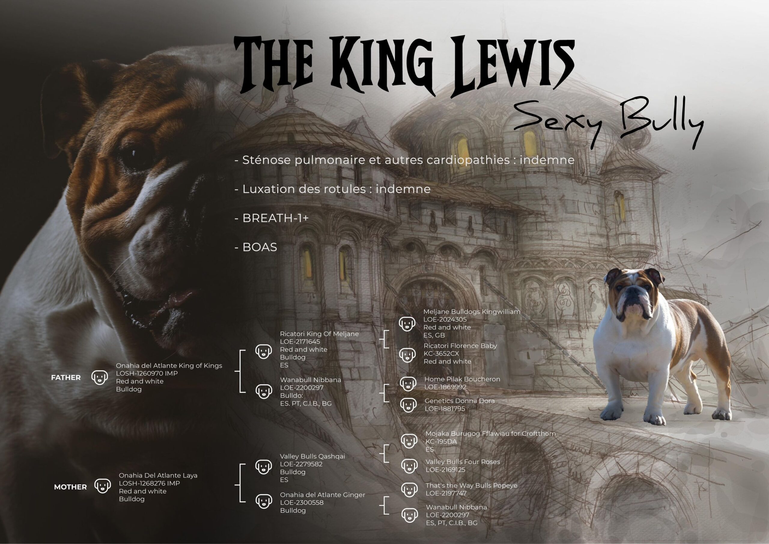 THE KING LEWIS SEXY BULLY